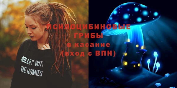 эйфоретик Аркадак