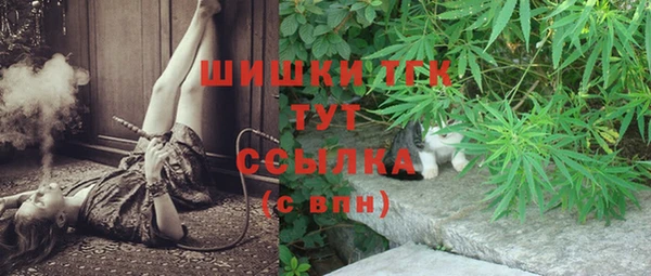 дмт Армянск