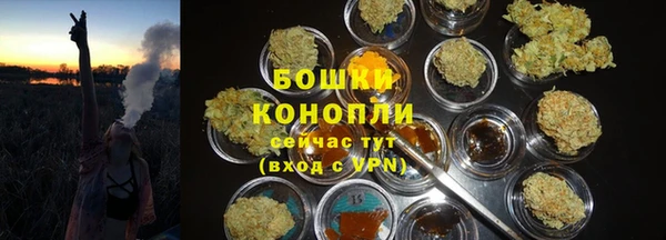 эйфоретик Аркадак