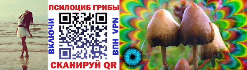 OMG   хочу   Правдинск  Псилоцибиновые грибы мицелий 
